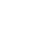 Professional icon